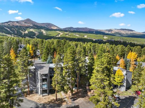 Photo of 1127 Ski Hill Road #94, Breckenridge, CO 80424 (MLS # S1067780)