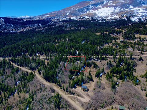Photo of 1221 Roberts Road, Alma, CO 80420 (MLS # S1069046)