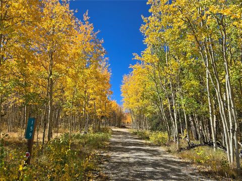 Photo of 159 Bluestem Court, Fairplay, CO 80440 (MLS # S1068156)