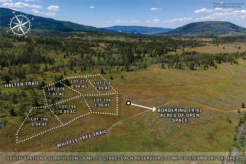 Photo of 195 Halter Trail, Oak Creek, CO 80467 (MLS # S1068225)