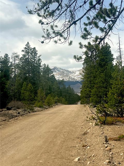 Photo of 105 Fir Road, Twin Lakes, CO 80461 (MLS # S1067959)