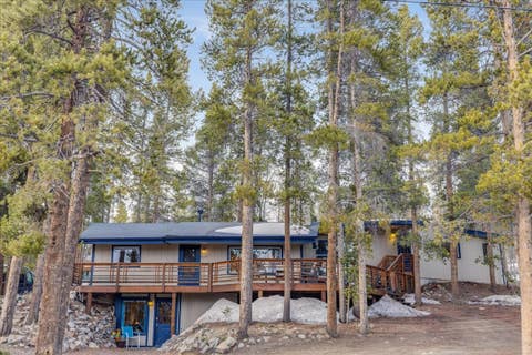 Photo of 1981 Boreas Pass Road, Breckenridge, CO 80424 (MLS # S1069750)