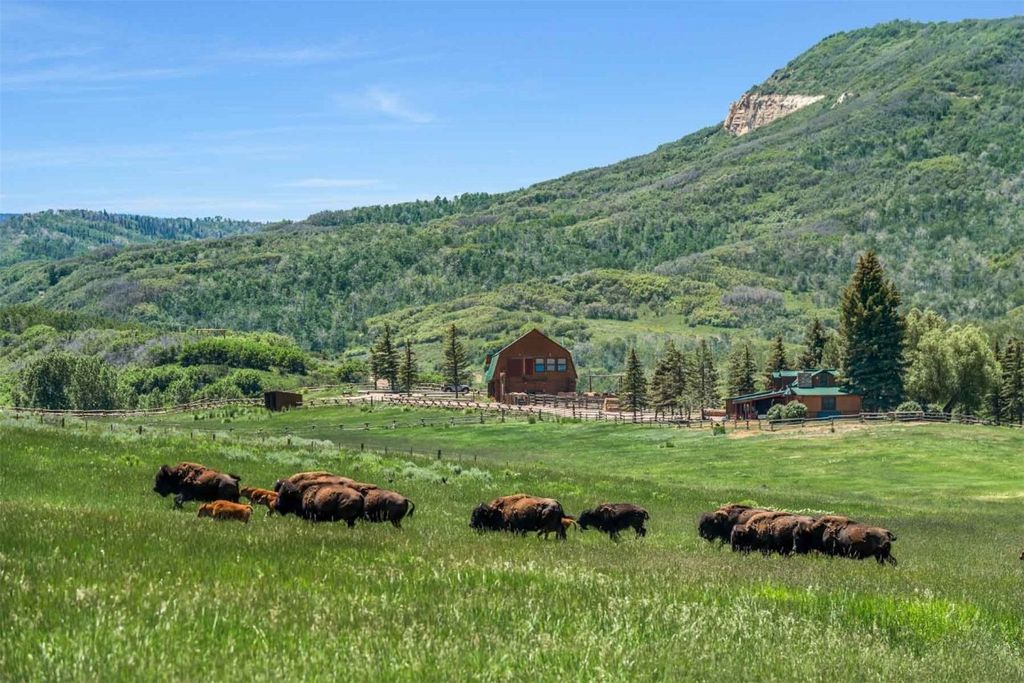 Photo of 26760 Rimrock Trail, Oak Creek, CO 80467 (MLS # S1061252)