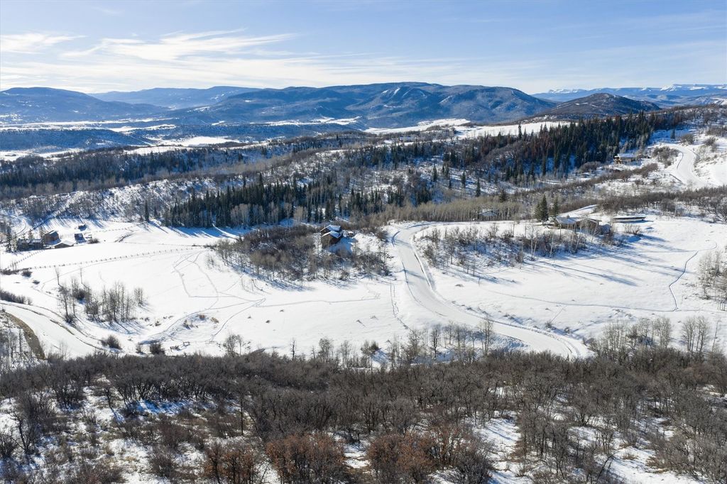 Photo of 21440 Whitewood Drive W, Steamboat Springs, CO 80487 (MLS # S1064416)