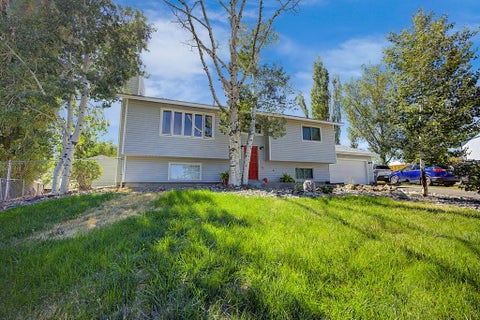 Photo of 409 High Meadow Court, Hayden, CO 81639 (MLS # S1071560)
