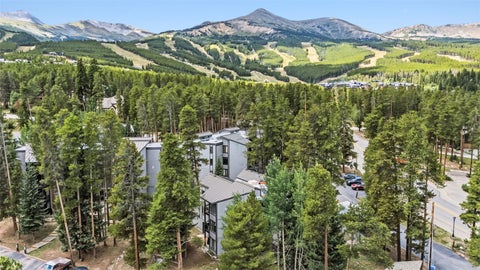Photo of 1155 Ski Hill Road #117, Breckenridge, CO 80424 (MLS # S1071305)