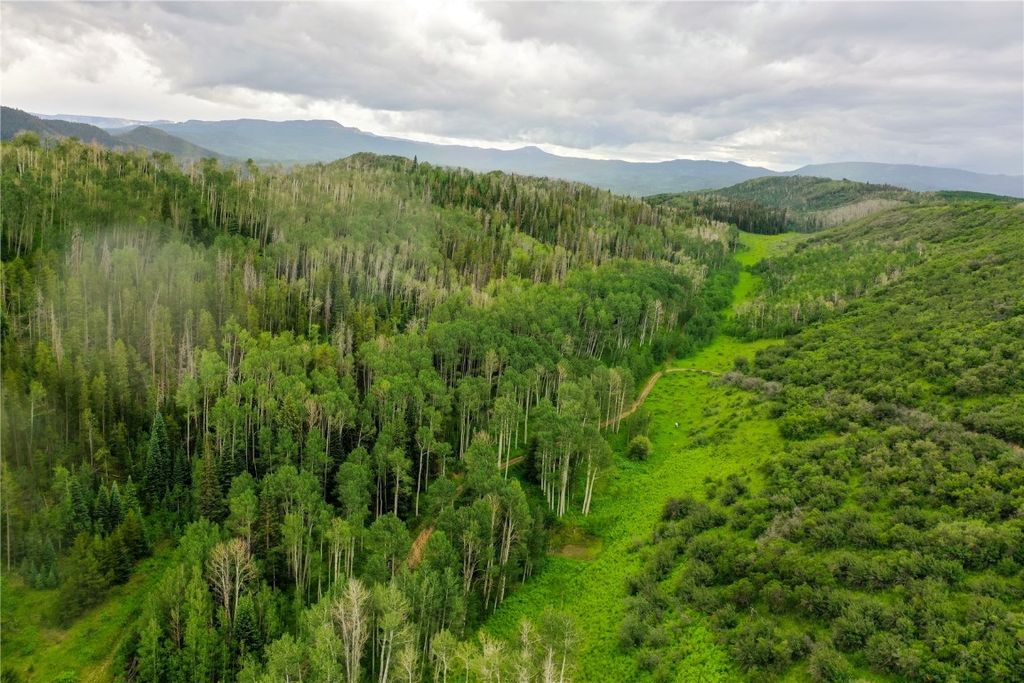 Photo of 19455 County Road 29, Oak Creek, CO 80467 (MLS # S1061159)