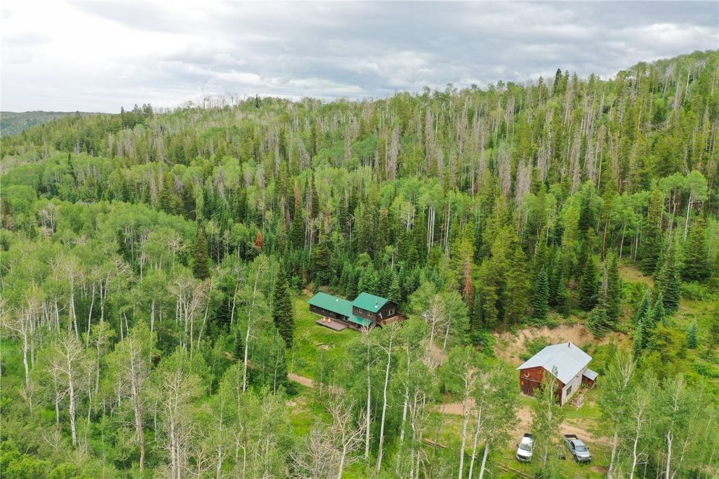 Photo of 19455 County Road 29, Oak Creek, CO 80467 (MLS # S1061159)