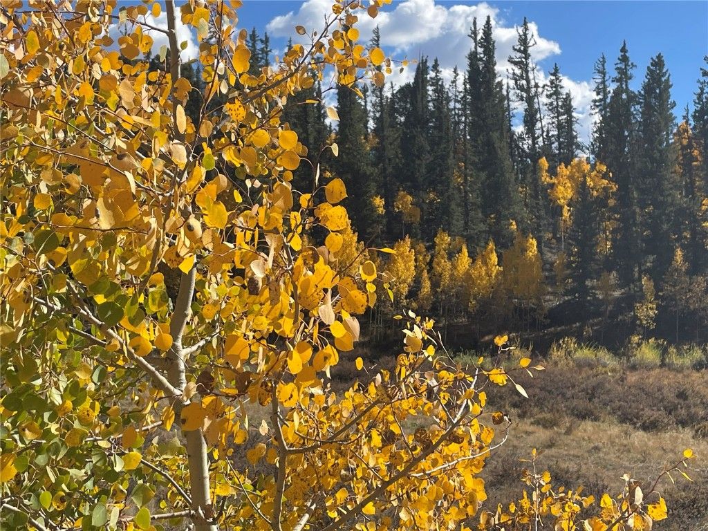 Photo of 581 Longbow Drive, Como, CO 80432 (MLS # S1064573)