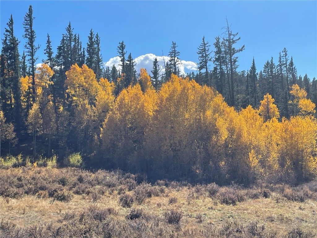 Photo of 581 Longbow Drive, Como, CO 80432 (MLS # S1064573)