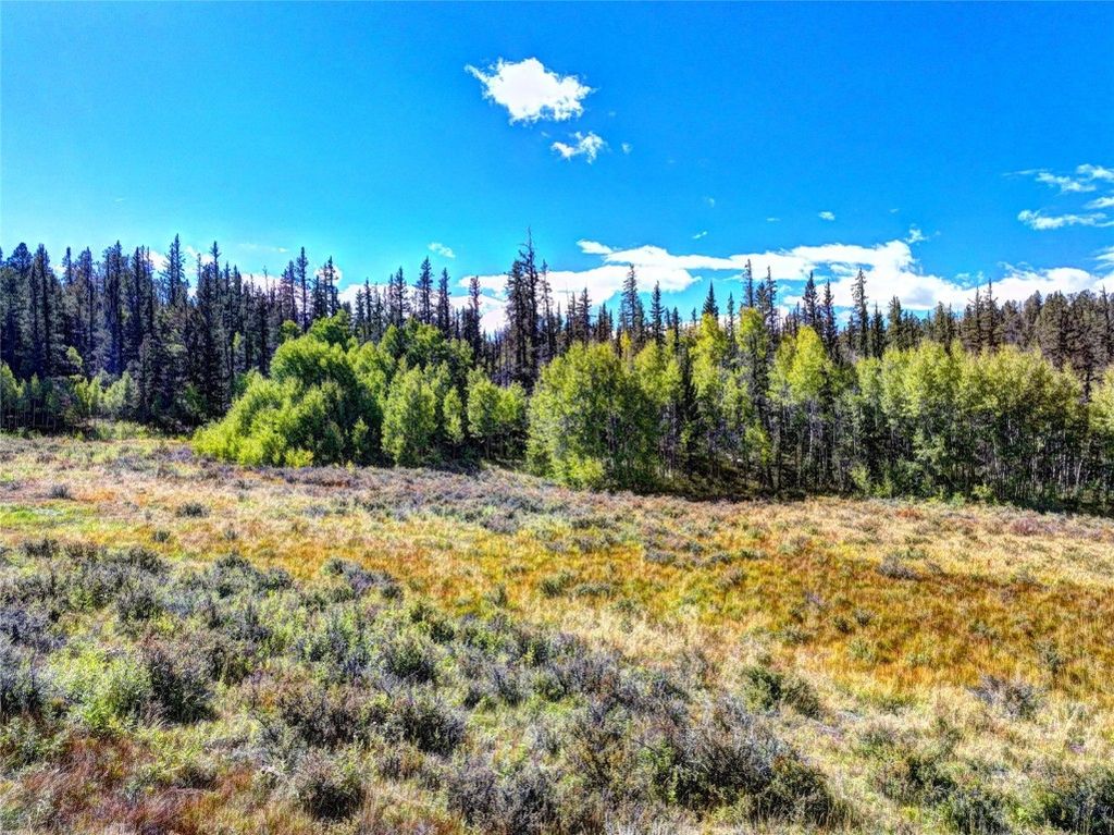 Photo of 581 Longbow Drive, Como, CO 80432 (MLS # S1064573)