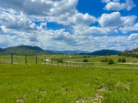 Photo of RCR 129, Steamboat Springs, CO 80487 (MLS # S1069202)