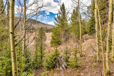 Photo of 55780 Highway 9, Alma, CO 80440 (MLS # S1068049)