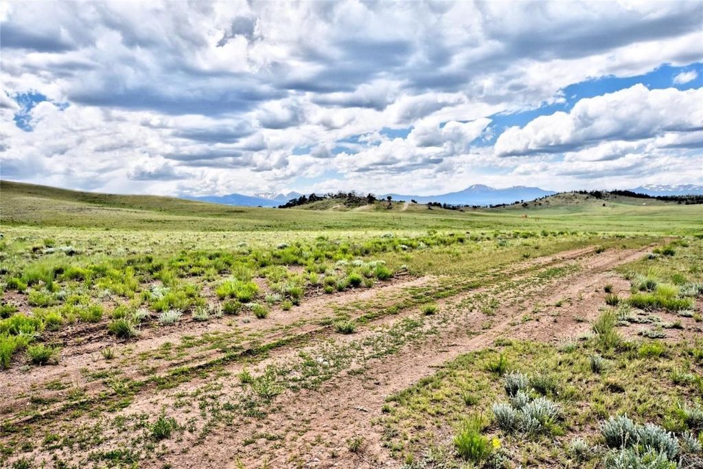Photo of 1238 Chicha Road, Hartsel, CO 80449 (MLS # S1065800)