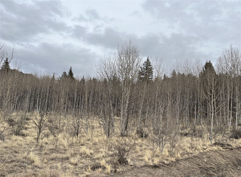 Photo of 688 Ouray Trail, Como, CO 80432 (MLS # S1066280)