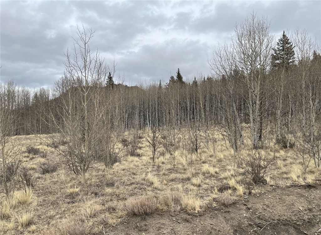 Photo of 688 Ouray Trail, Como, CO 80432 (MLS # S1066280)