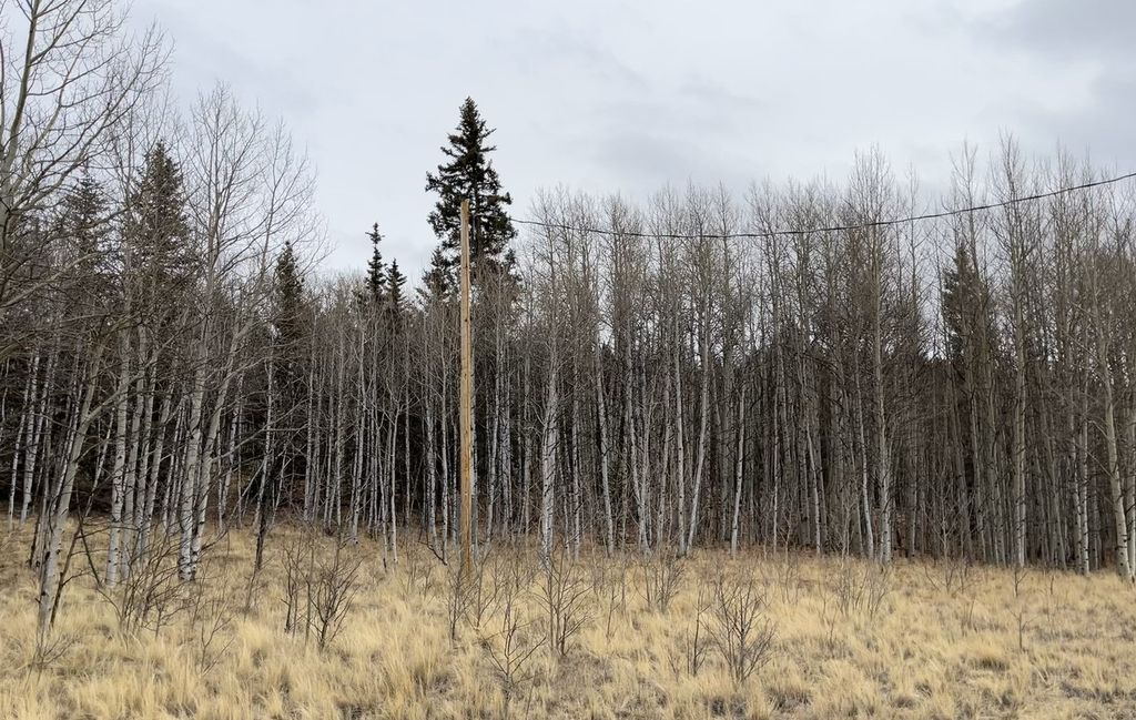 Photo of 688 Ouray Trail, Como, CO 80432 (MLS # S1066280)