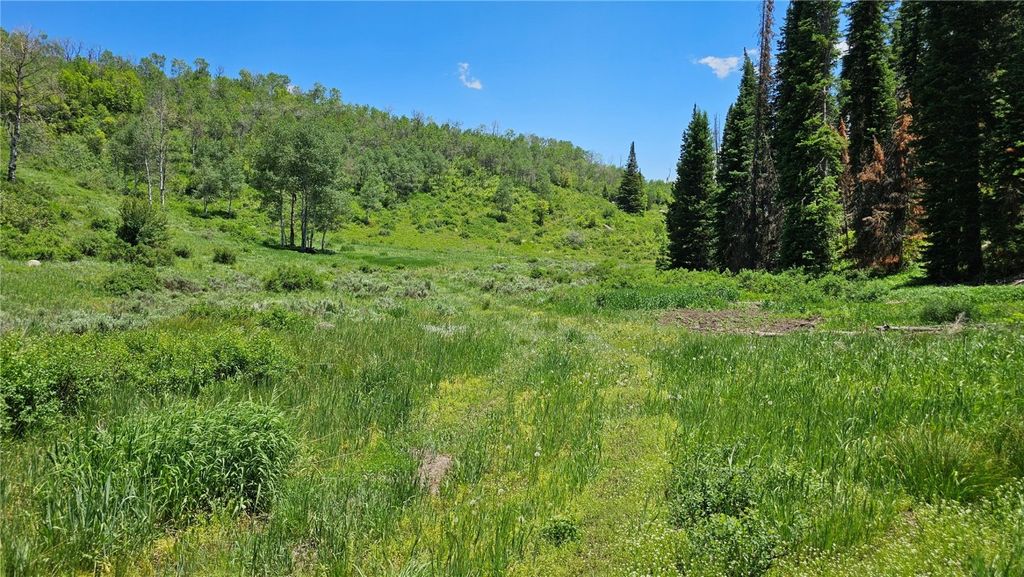 Photo of RCR 50 Blvd, Steamboat Springs, CO 80487 (MLS # S1059630)