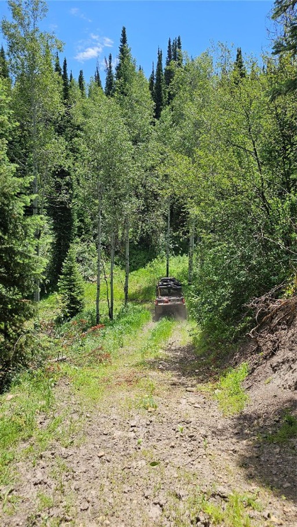 Photo of RCR 50 Blvd, Steamboat Springs, CO 80487 (MLS # S1059630)