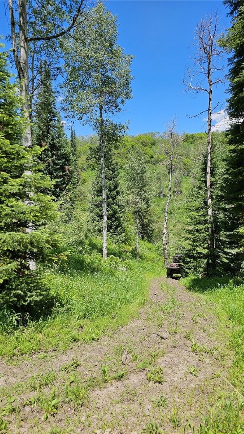 Photo of RCR 50 Blvd, Steamboat Springs, CO 80487 (MLS # S1059630)