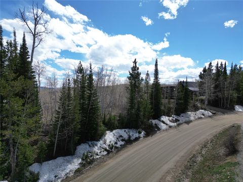Photo of 57960 Longfellow Way, Clark, CO 80428 (MLS # S1068194)