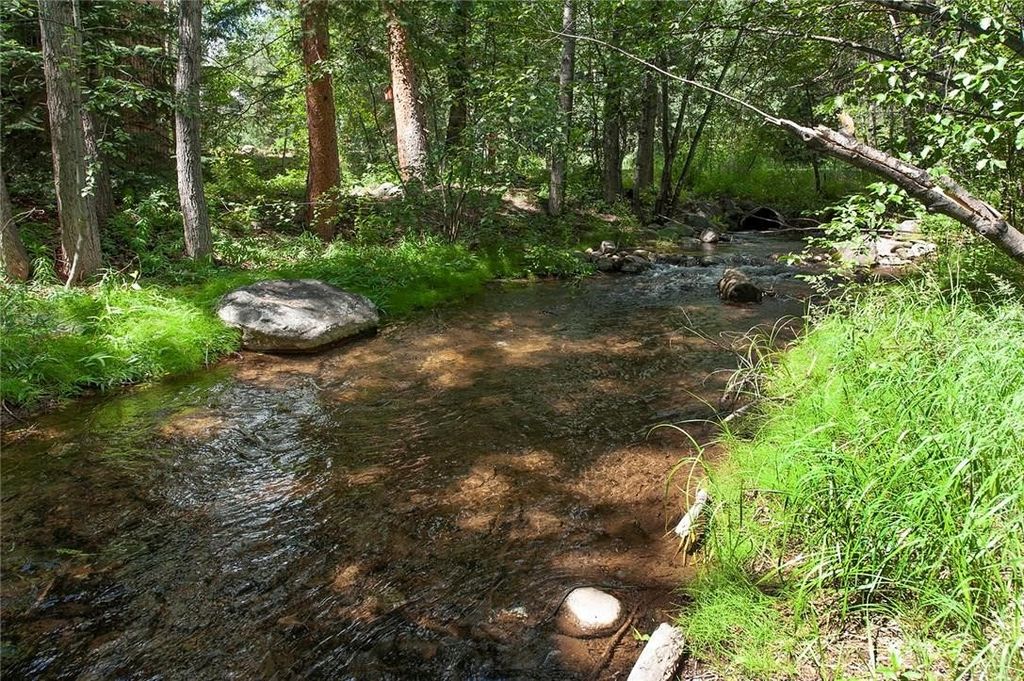 Photo of 160 Creekside Drive #20, Frisco, CO 80443 (MLS # S1066002)