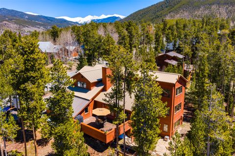 Photo of 126 Snowberry Way, Dillon, CO 80435 (MLS # S1068503)