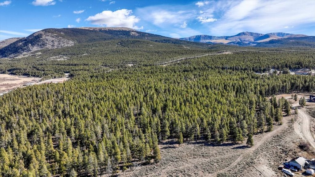 Photo of 11622 Populist, Leadville, CO 80461 (MLS # S1064357)