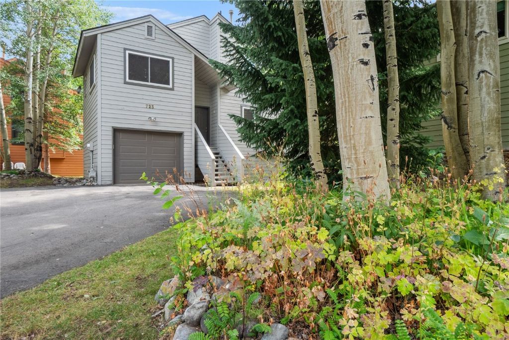 Photo of 723 Hunters Circle #0, Frisco, CO 80443 (MLS # S1064426)