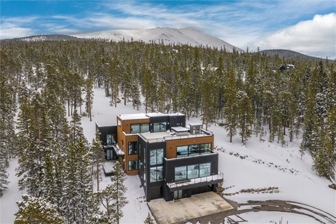 Photo of 316 N Fuller Placer Road, Breckenridge, CO 80424 (MLS # S1071257)