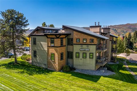Photo of 2955 Columbine Drive #212, Steamboat Springs, CO 80487 (MLS # S1068032)