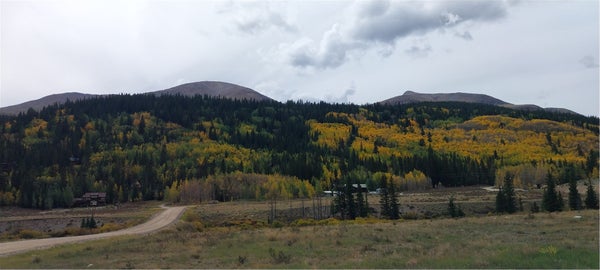 1062 ROBERTS RD, ALMA, CO 80420 - Image 6ee9645bfd3b0b21e2eaf2af500c41e2/3614677843