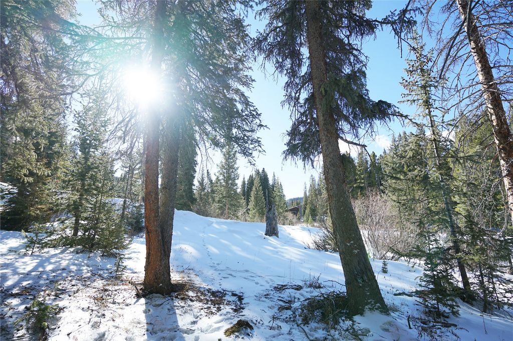 Photo of 14 Rena Road, Breckenridge, CO 80424 (MLS # S1066111)