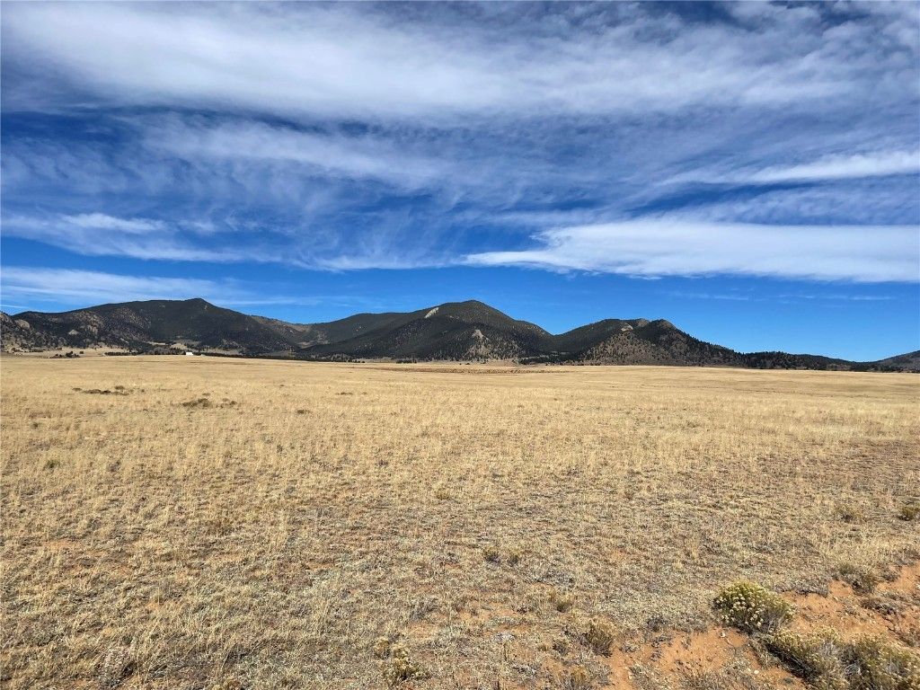 Photo of 294 Rio Blanco Road, Hartsel, CO 80449 (MLS # S1065929)