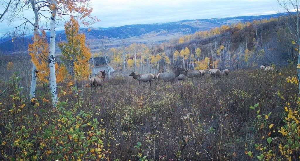 Photo of 55966 Hannahs Way, Clark, CO 80428 (MLS # S1065908)