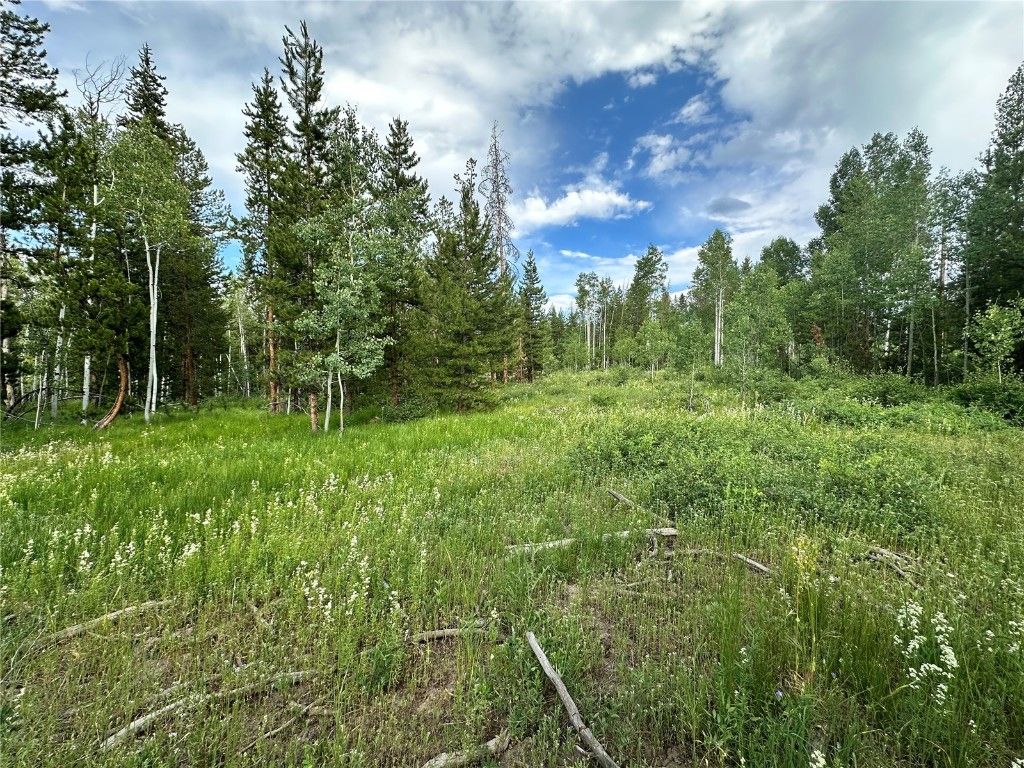 Photo of Mustang Way, Oak Creek, CO 80467 (MLS # S1061201)