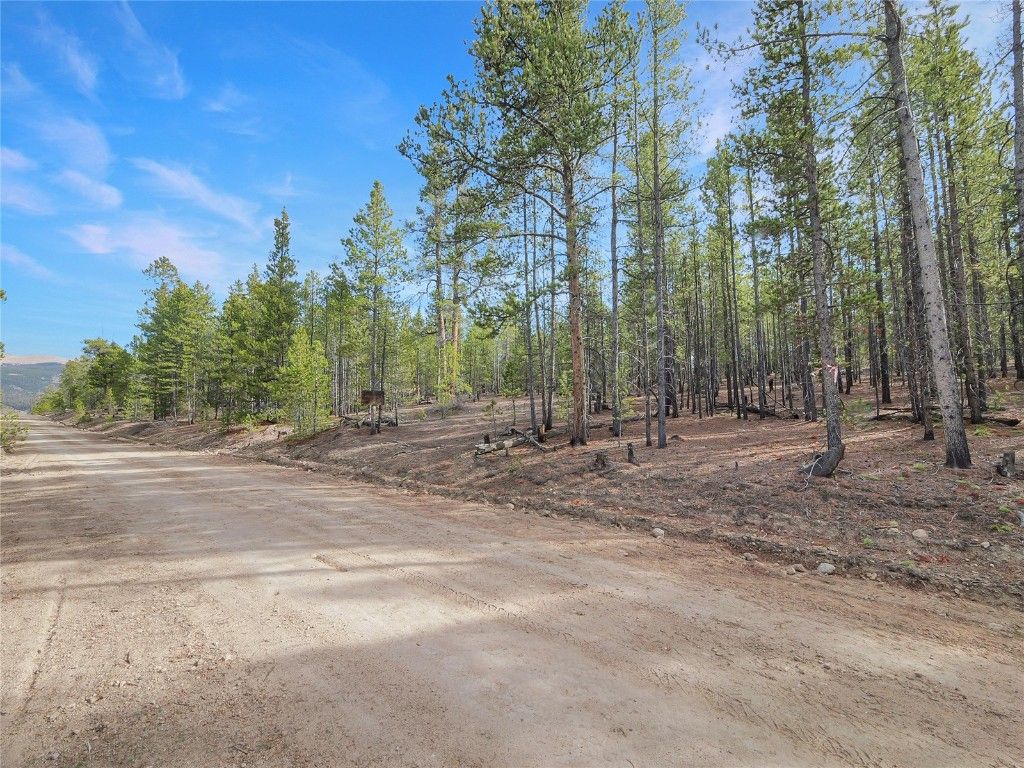 Photo of 198 Fir Drive, Leadville, CO 80461 (MLS # S1064067)