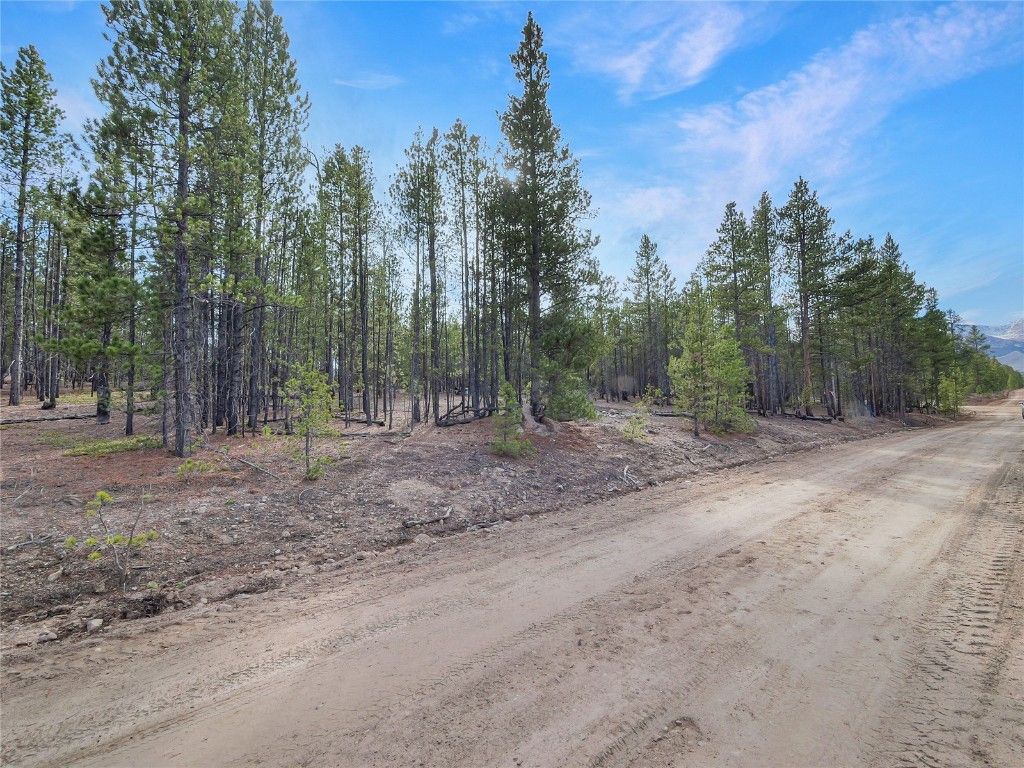 Photo of 198 Fir Drive, Leadville, CO 80461 (MLS # S1064067)
