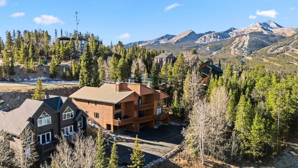 Photo of 1682 Boreas Pass Road #C, Breckenridge, CO 80424 (MLS # S1064119)