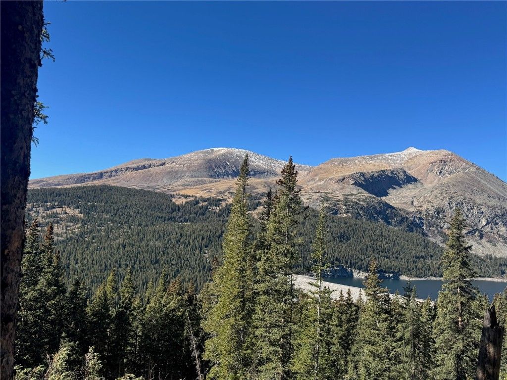 Photo of 275 Lakeview Drive, Alma, CO 80420 (MLS # S1065688)