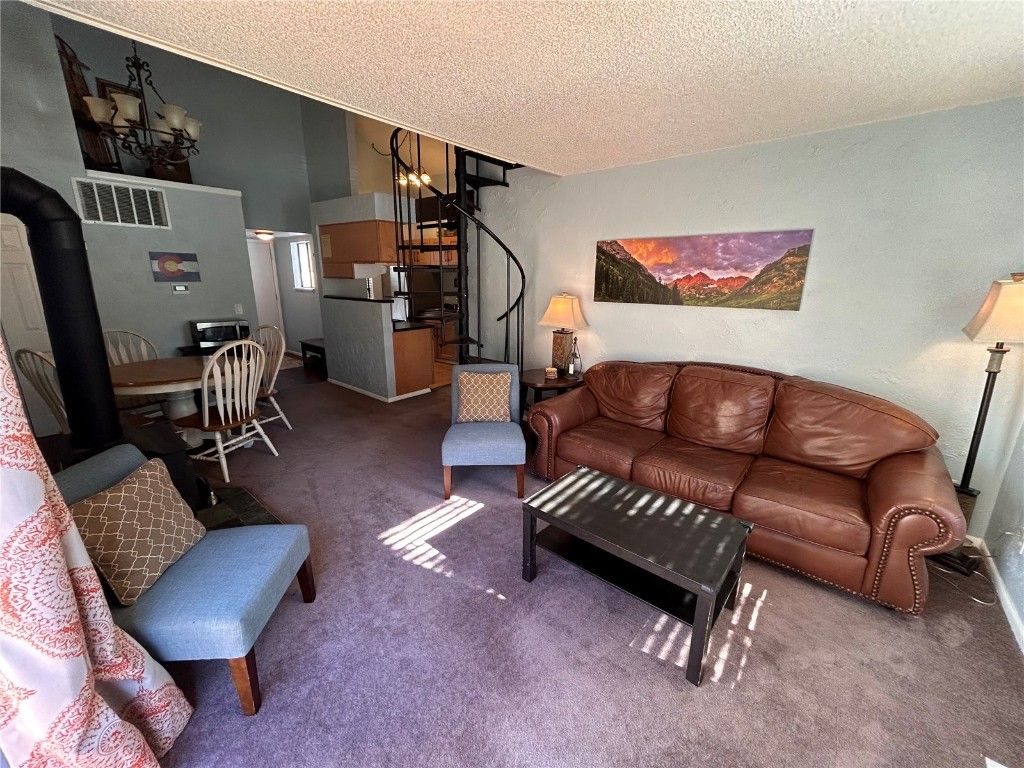 Photo of 1901 CLEAR CREEK Drive #301, Georgetown, CO 80444 (MLS # S1065761)
