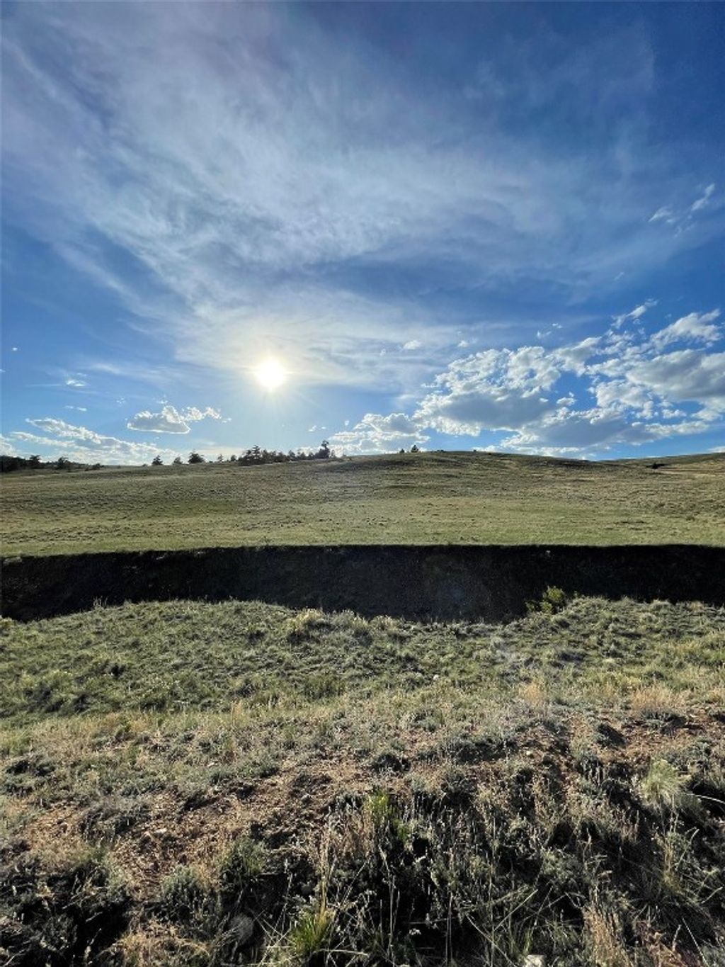 Photo of 691 Cathy Drive, Hartsel, CO 80449 (MLS # S1064615)