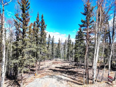 Photo of 1059 Piaute Way, Como, CO 80432 (MLS # S1068008)