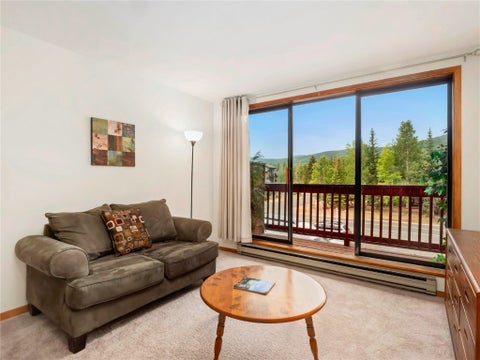 Photo of 99 Granite Street #217, Frisco, CO 80443 (MLS # S1062307)