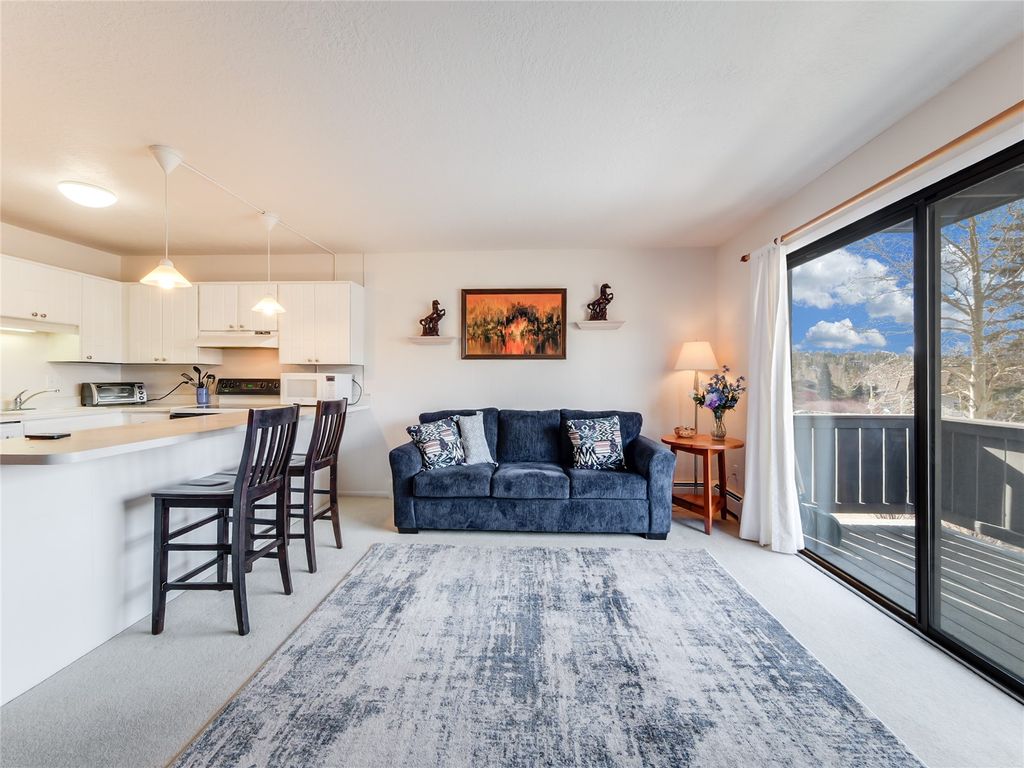 Photo of 753 Straight Creek Drive #201, Dillon, CO 80435 (MLS # S1066254)