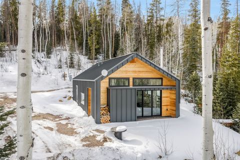 Photo of 24700 Lone Tooth Trail, Oak Creek, CO 80467 (MLS # S1066000)