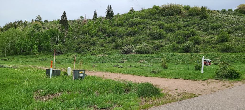 Photo of 23525 Stagehorn Trail, Steamboat Springs, CO 80467 (MLS # S1061635)