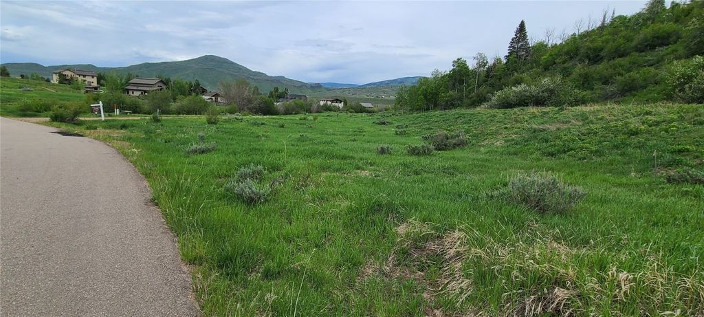 Photo of 23525 Stagehorn Trail, Steamboat Springs, CO 80467 (MLS # S1061635)
