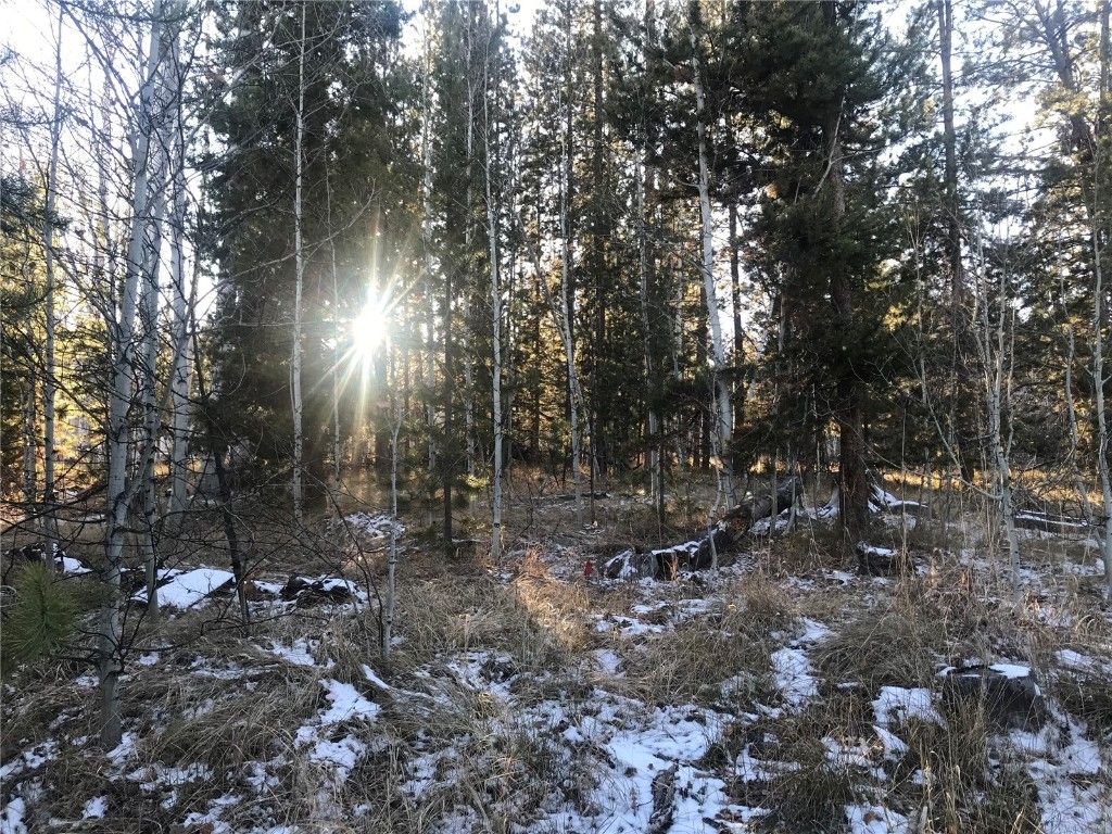 Photo of 32470 Ute Trail, Oak Creek, CO 80467 (MLS # S1064440)