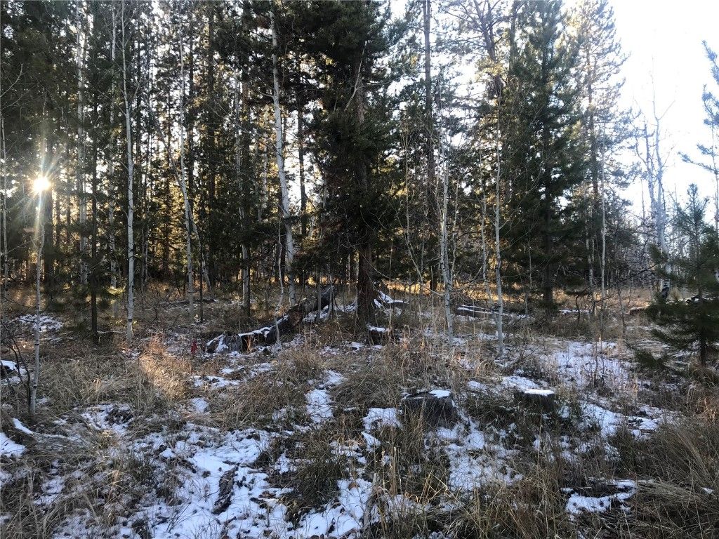 Photo of 32470 Ute Trail, Oak Creek, CO 80467 (MLS # S1064440)